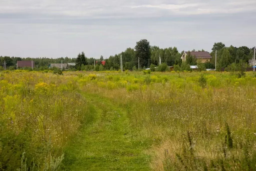 Участок в Московская область, Чехов муниципальный округ, д. Горелово ... - Фото 2
