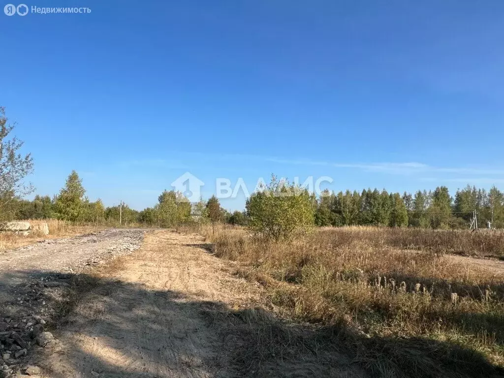 Участок в Владимирская область, Собинский муниципальный округ, посёлок ... - Фото 1