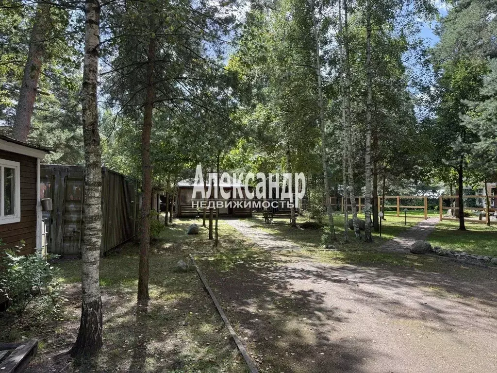 Участок в Ленинградская область, Выборгский район, Полянское с/пос, ... - Фото 1