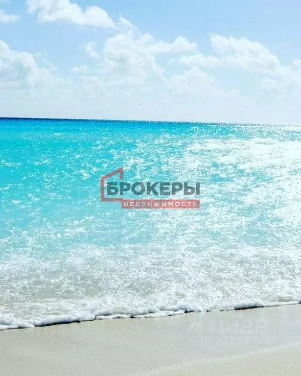 Участок в Крым, Сакский район, с. Фрунзе ул. Таврическая, 28 (8.0 ... - Фото 0