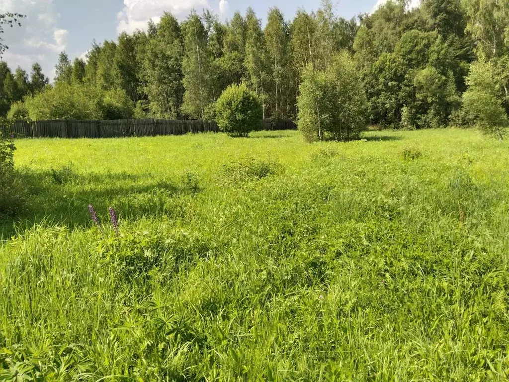 Участок в Московская область, Подольск городской округ, д. Бородино  ... - Фото 0