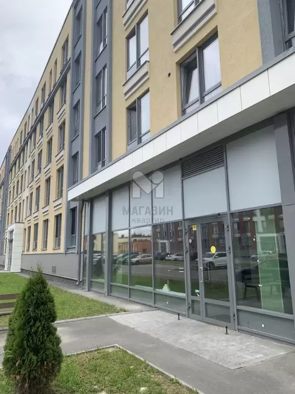 Торговая площадь в Санкт-Петербург пос. Шушары, ул. Нины Петровой, 8к1 ... - Фото 1
