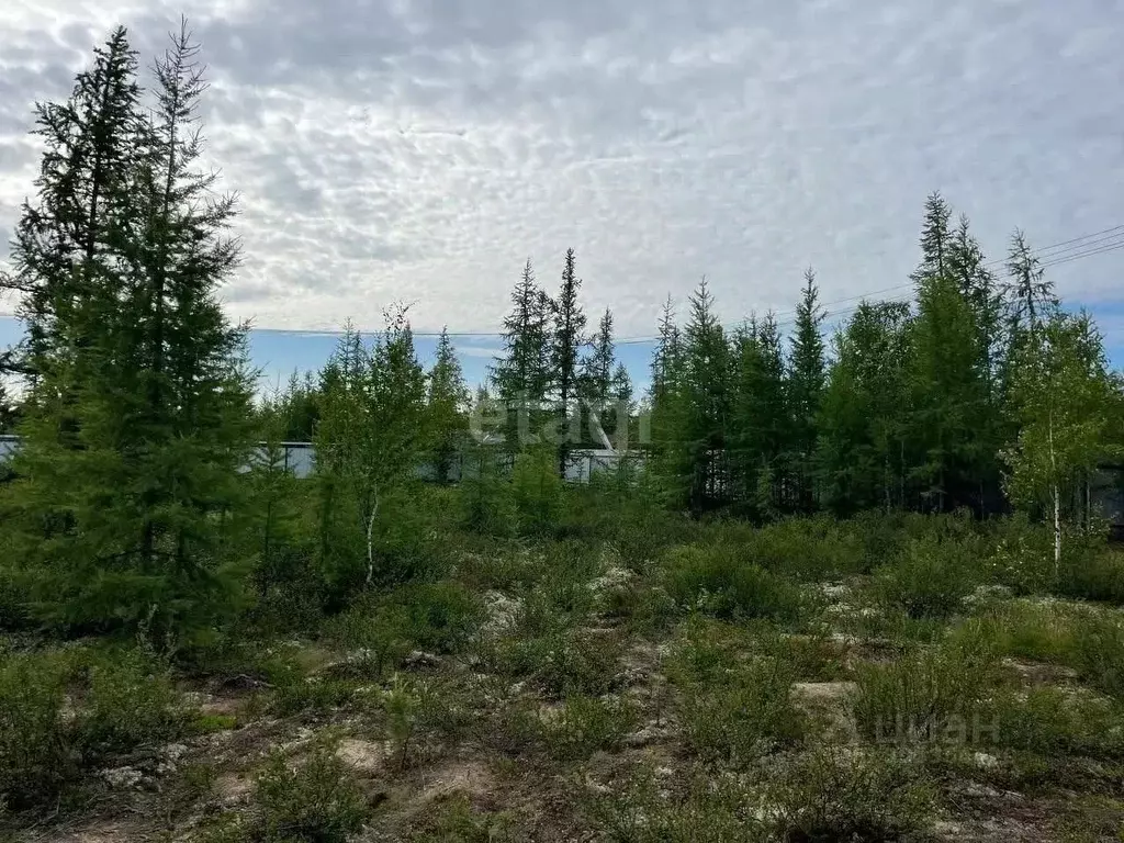 Участок в Ямало-Ненецкий АО, Новый Уренгой Титан ДНТ,  (12.0 сот.) - Фото 1