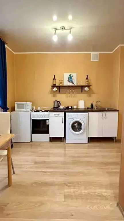 Студия Башкортостан, Уфа ул. Менделеева, 128к1 (37.0 м) - Фото 2