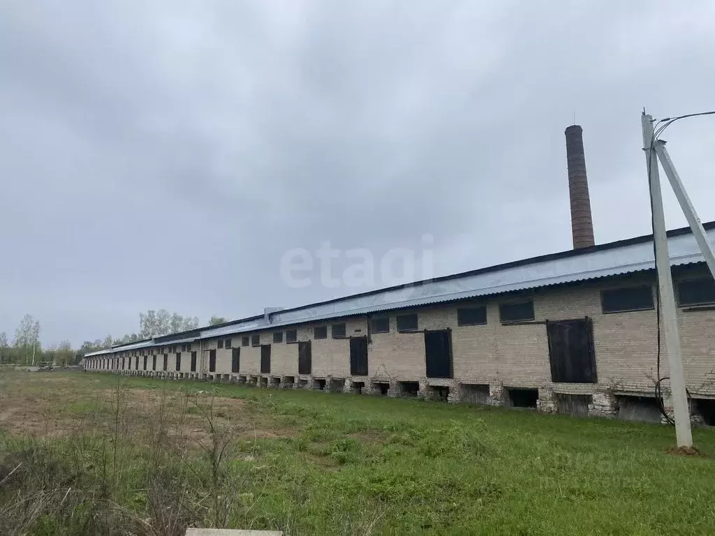 Склад в Костромская область, Кострома Юбилейная ул., 24 (4200 м) - Фото 1