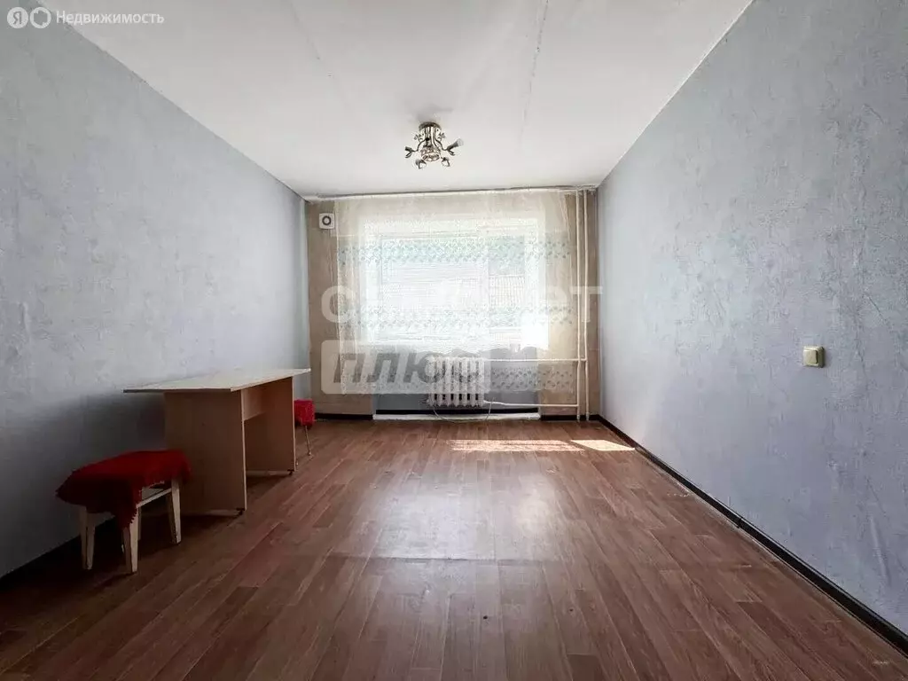 Квартира-студия: село Волково, Центральная улица, 12 (24.8 м) - Фото 1