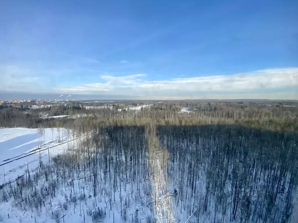 1-к кв. Санкт-Петербург ул. Пейзажная, 26 (32.0 м) - Фото 0