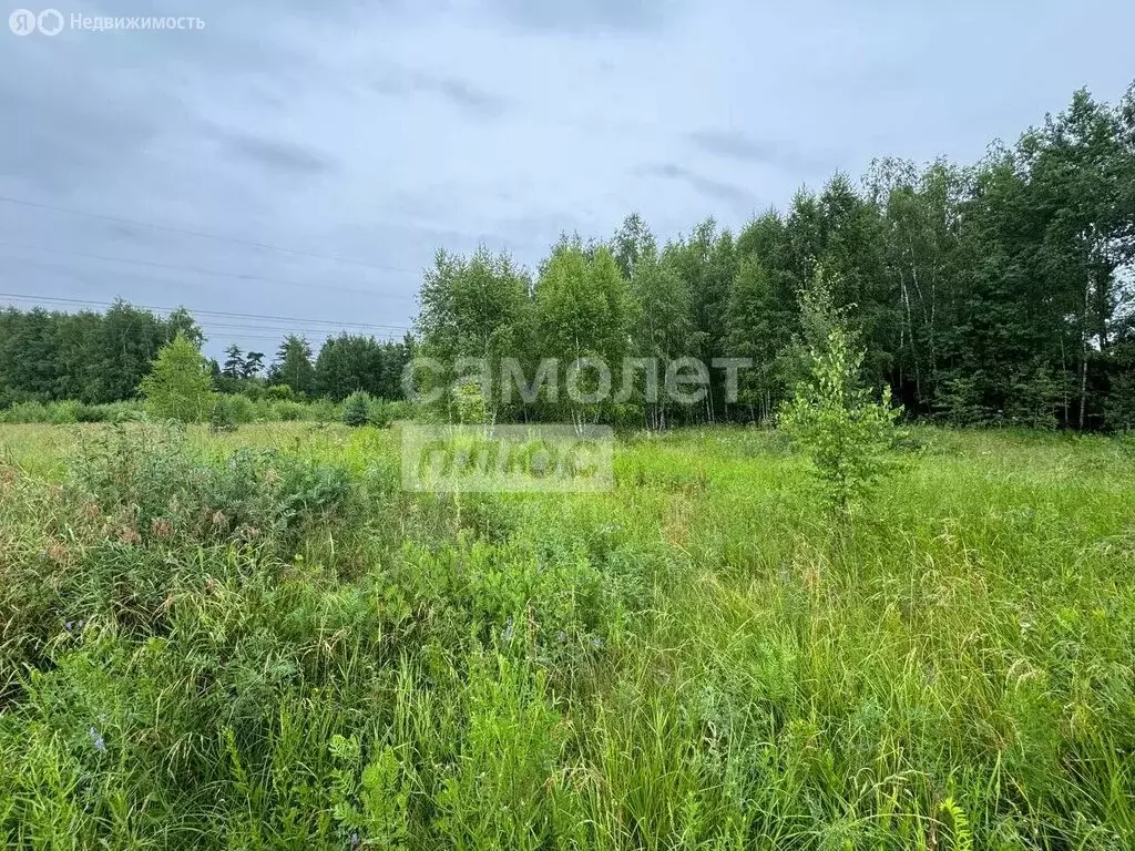 Участок в Богородский городской округ, КП Новое Борилово (12.7 м) - Фото 2
