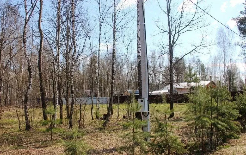 Участок в Московская область, Раменский муниципальный округ, Жилой ... - Фото 2