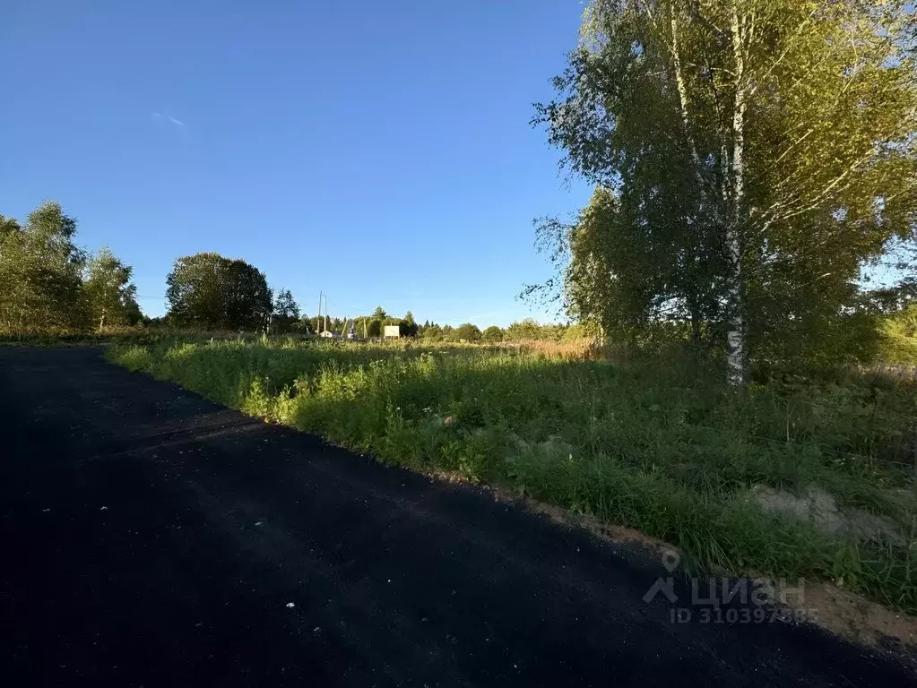 Участок в Московская область, Дмитровский городской округ, Форест Клаб ... - Фото 1