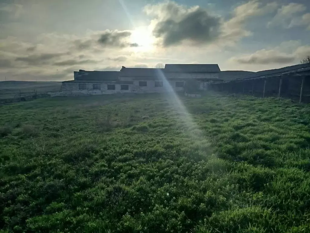 Помещение свободного назначения в Крым, Симферопольский район, ... - Фото 1