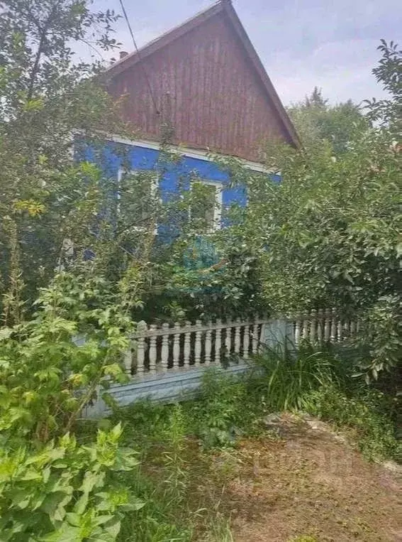 Дом в Белгородская область, Шебекино ул. Березина (50 м) - Фото 1