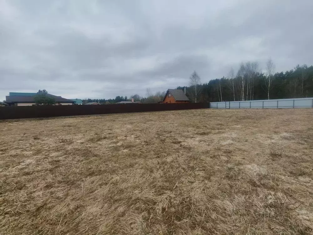 Участок в Московская область, Щелково городской округ, д. Огуднево ул. ... - Фото 2