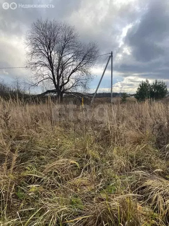 Участок в Ковровский район, муниципальное образование Малыгинское, ... - Фото 1