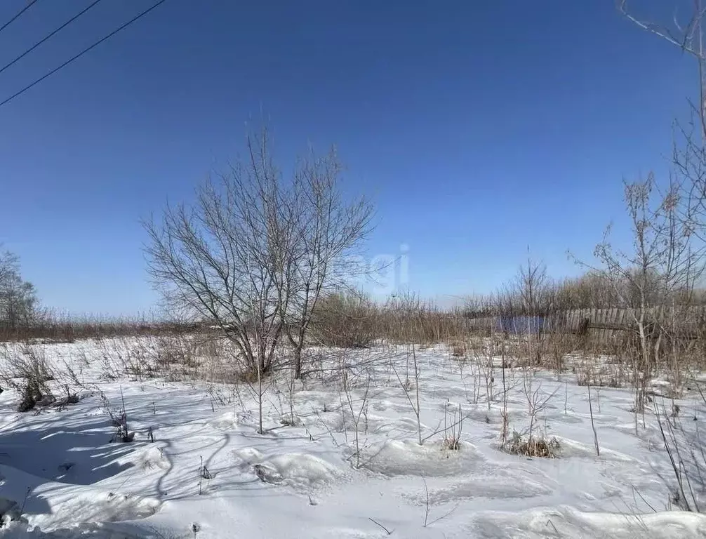 Участок в Иркутская область, Тулунский район, Будаговское ... - Фото 1