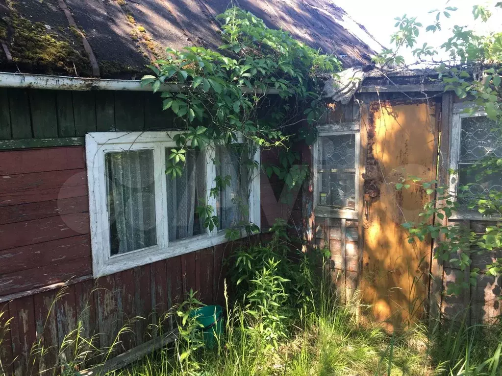 Авито Новгородская Область Дачи Купить