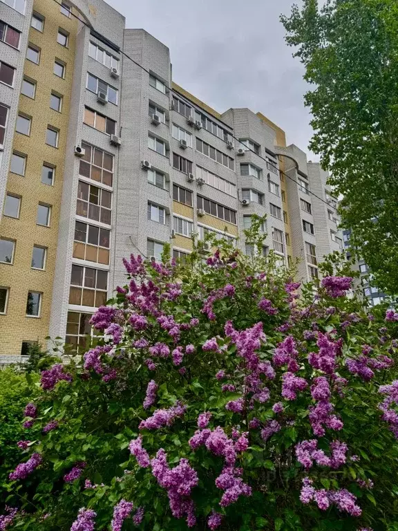 1-к кв. Волгоградская область, Волгоград ул. Тулака, 1А (50.0 м) - Фото 1