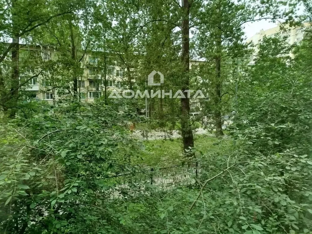 1-к кв. Санкт-Петербург просп. Славы, 35К1 (29.1 м) - Фото 1