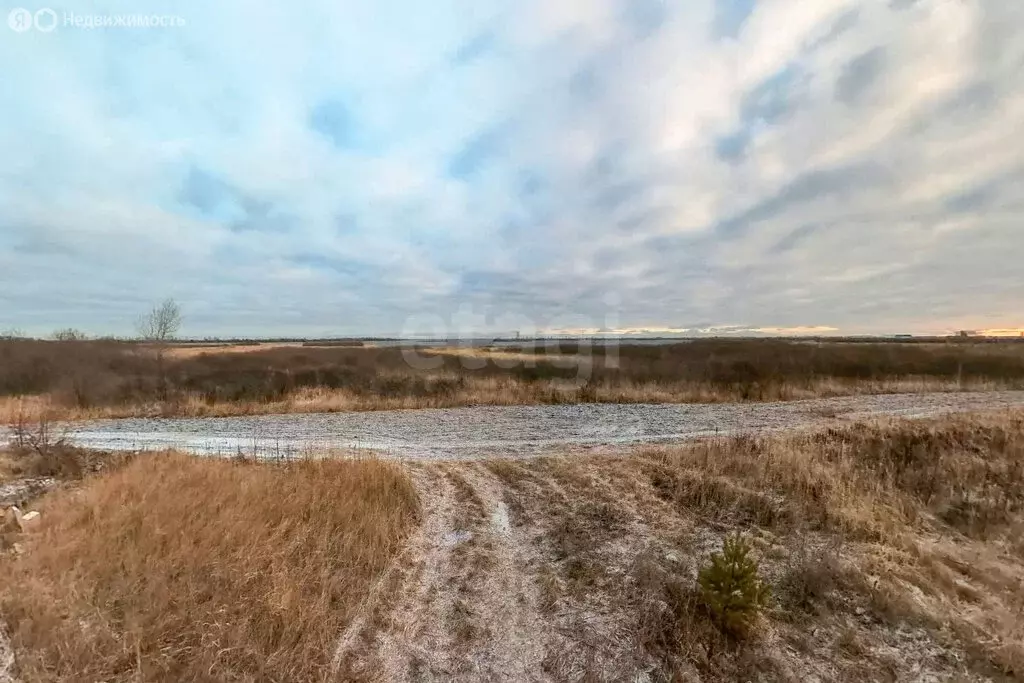 Участок в Тюменский муниципальный округ, СНТ Лебяжье (12.5 м) - Фото 2