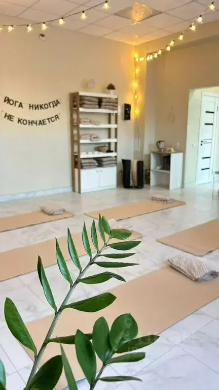 Помещение свободного назначения в Краснодарский край, Краснодар ул. ... - Фото 1