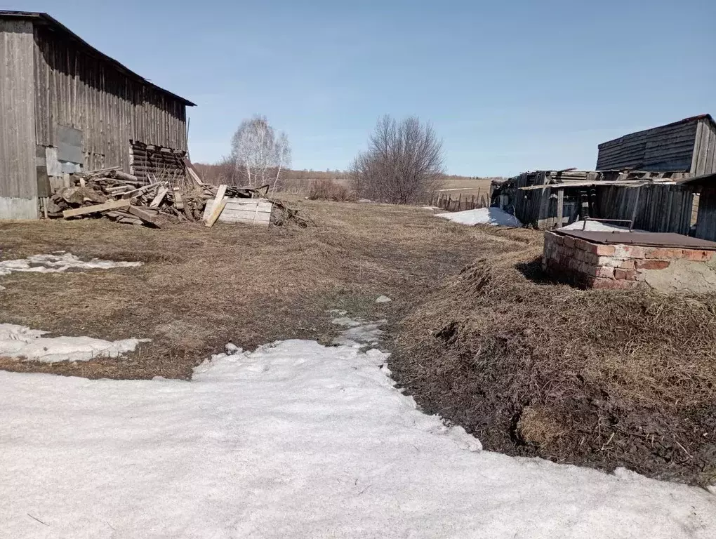 Участок в Кемеровская область, Кемеровский муниципальный округ, с. ... - Фото 0