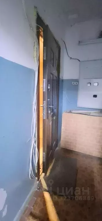 Студия Алтайский край, Барнаул Докучаево мкр, ул. Шукшина, 1 (14.0 м) - Фото 2