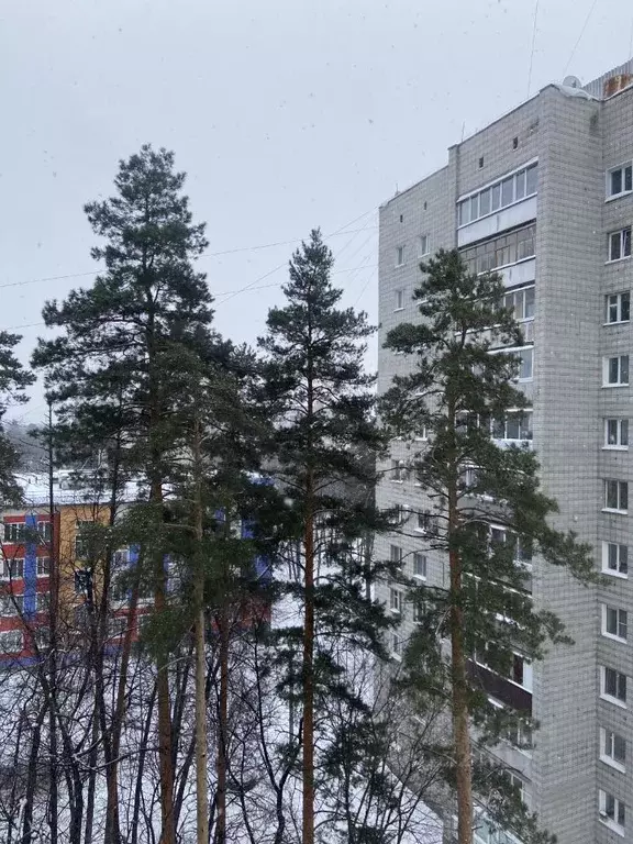 2-к кв. Ульяновская область, Димитровград ул. Королева, 4 (44.0 м) - Фото 1