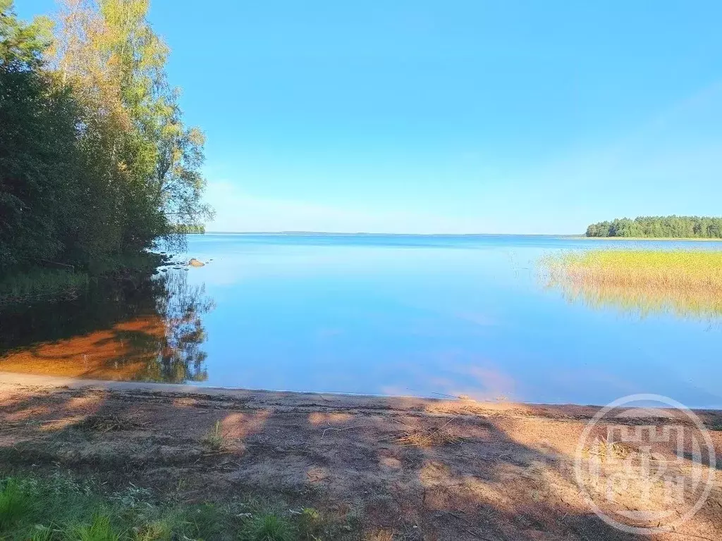 Участок в Ленинградская область, Выборгский район, Красносельское ... - Фото 1