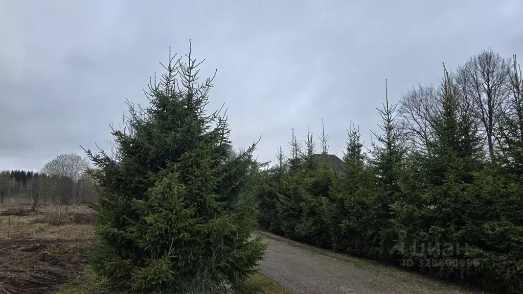 Участок в Московская область, Истра муниципальный округ, д. Хованское  ... - Фото 2