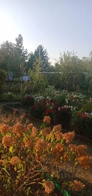 Дом в Саратовская область, Саратов Кировец-1 СНТ,  (20 м) - Фото 0