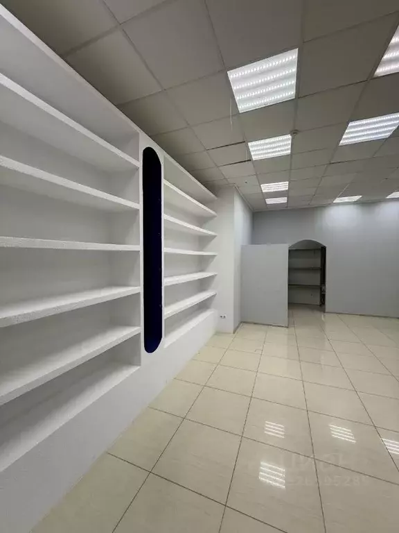 Торговая площадь в Краснодарский край, Сочи Центральный мкр, ул. ... - Фото 1