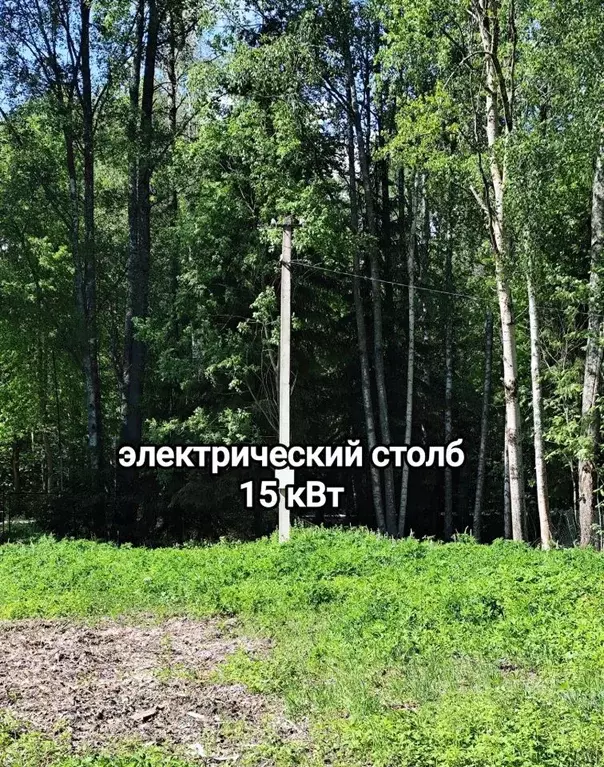 Участок в Санкт-Петербург, Санкт-Петербург, Зеленогорск просп. Ленина, ... - Фото 2