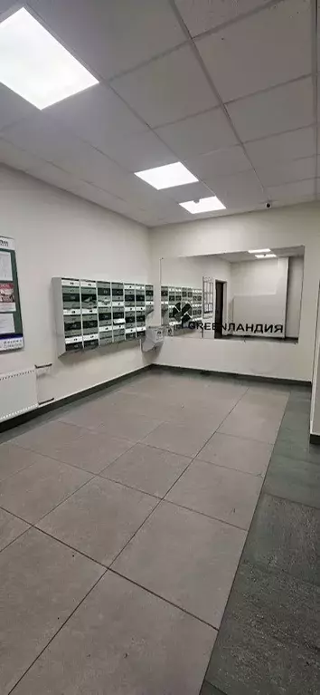 Студия Ленинградская область, Мурино Всеволожский район, бул. ... - Фото 1