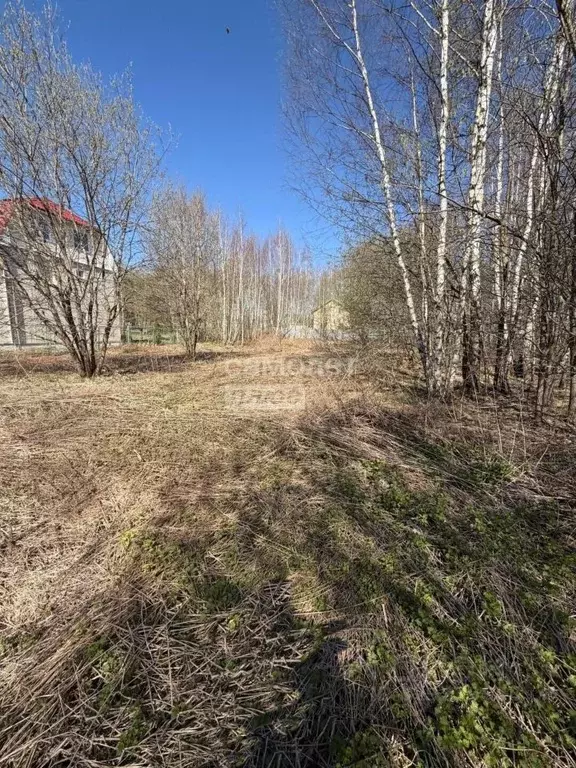 Участок в Московская область, Чехов муниципальный округ, д. Васькино  ... - Фото 1