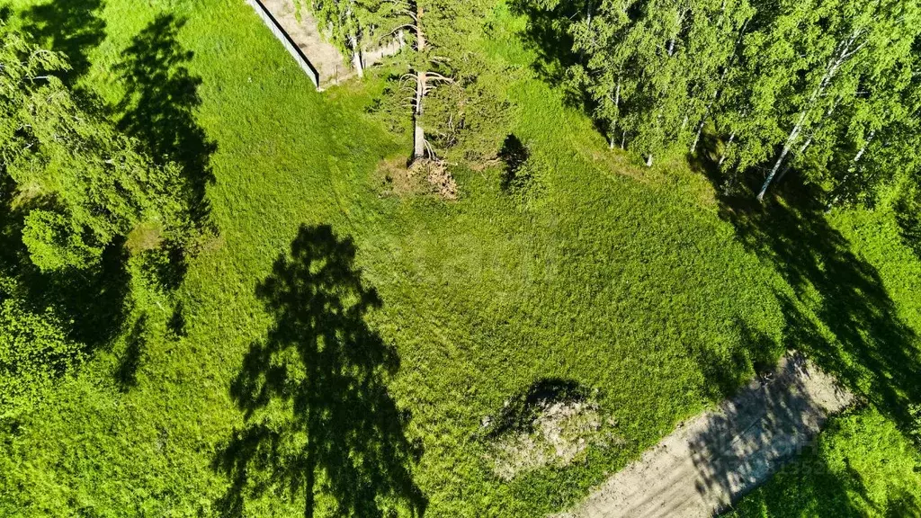 Участок в Томская область, Томский район, д. Кандинка ул. Гагарина ... - Фото 2