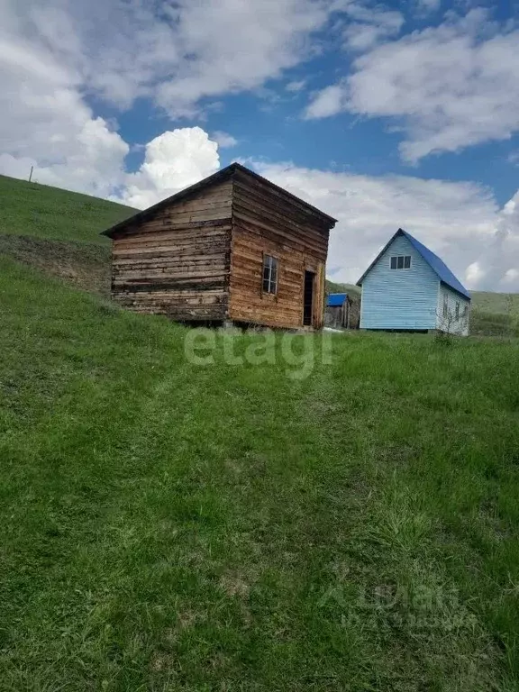 Участок в Алтай, Майминский район, с. Кызыл-Озек ул. Полевая (7.1 ... - Фото 1