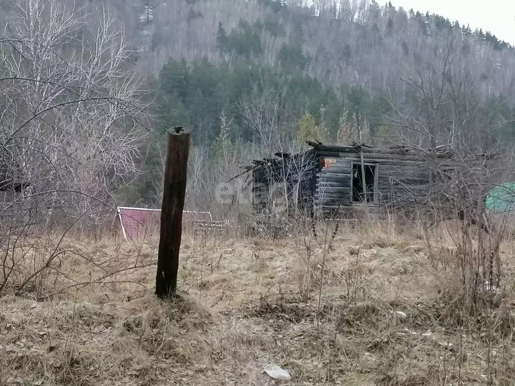 Участок в Алтай, Майминский район, с. Соузга Трактовая ул. (15.0 сот.) - Фото 1