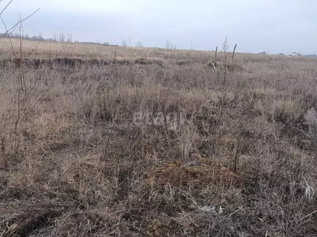 Участок в Курская область, Курский район, Щетинский сельсовет, пос. ... - Фото 1