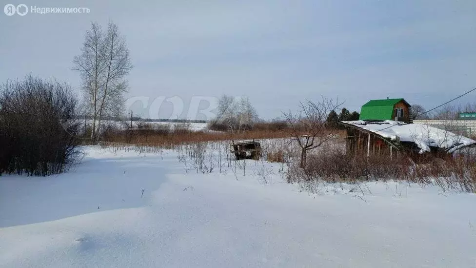 Участок в Свердловская область, Тугулымский муниципальный округ, село ... - Фото 0