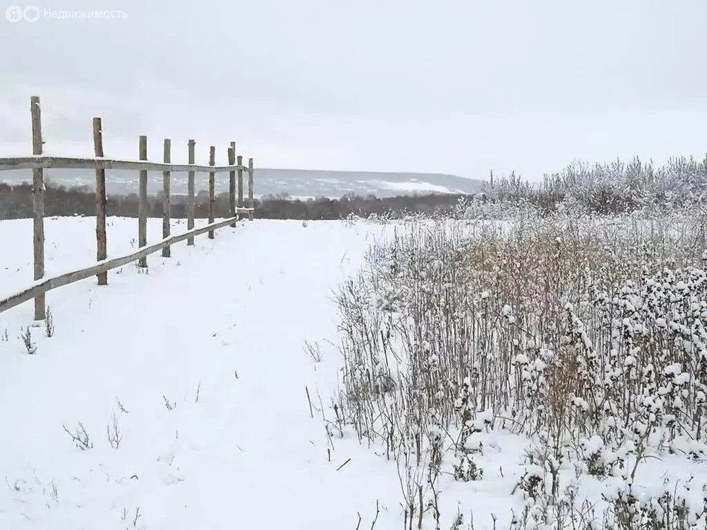 Участок в село Нелжа, улица Свободы (9.76 м) - Фото 1