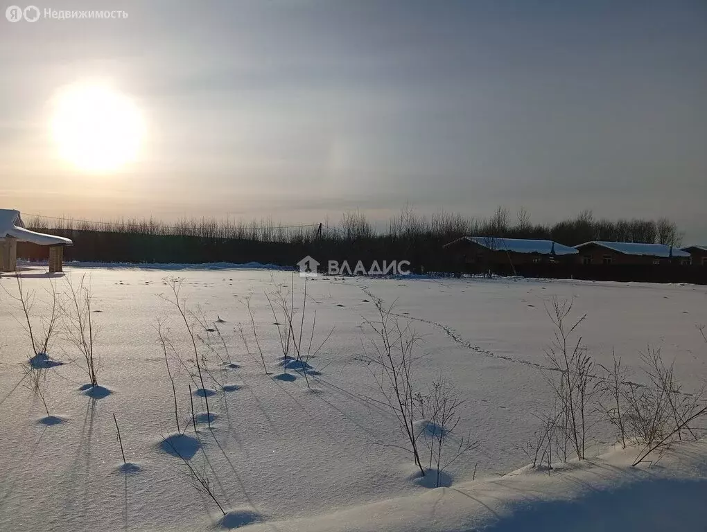 Участок в Пермский муниципальный округ, деревня Ерепеты, Придорожная ... - Фото 2