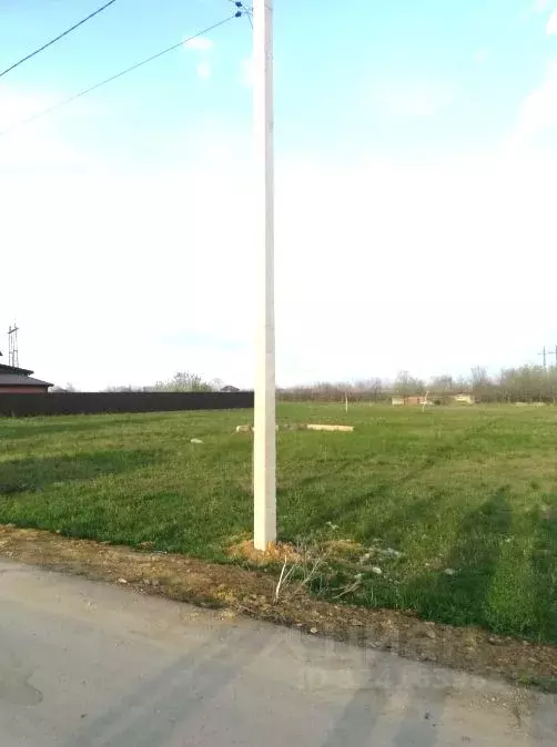 Участок в Ростовская область, Октябрьский район, пос. Персиановский ... - Фото 2