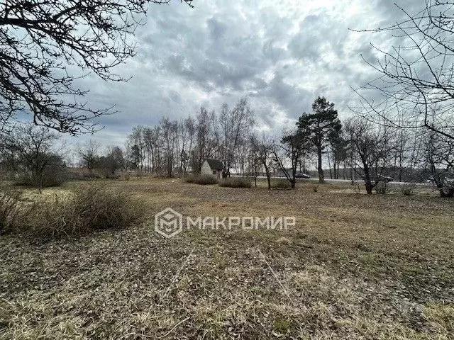 Участок в Брянская область, Брянский район, Мичуринское с/пос, ... - Фото 1