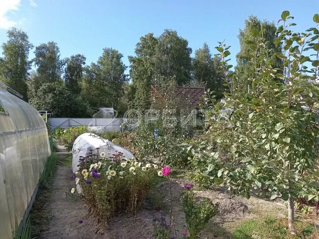 Участок в Тюменская область, Тюмень СОСН Тура тер., ул. Здоровья (10.0 ... - Фото 1