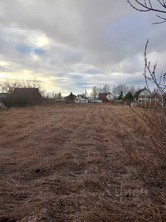 Участок в Новгородская область, Новгородский район, Трубичинское ... - Фото 1