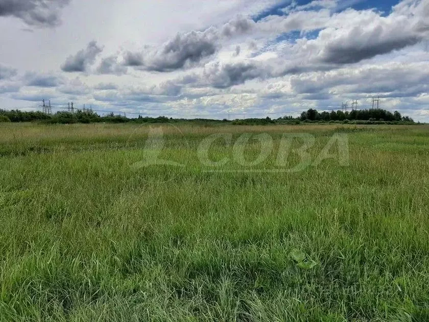 Участок в Тюменская область, Тюмень  (182.0 сот.) - Фото 1