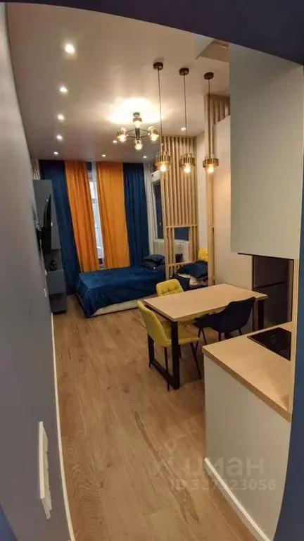 Студия Краснодарский край, Сочи Теневой пер., 10А (27.7 м) - Фото 2