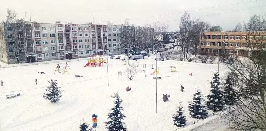 3-к кв. Ленинградская область, Гатчинский муниципальный округ, д. ... - Фото 1