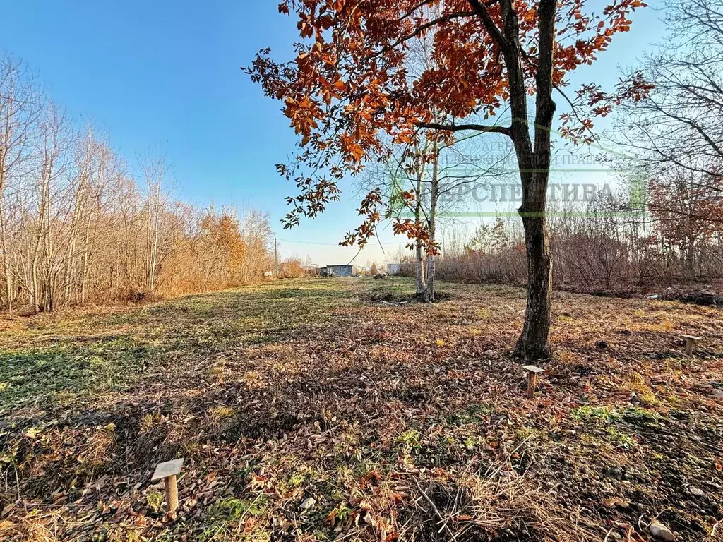 Участок в Приморский край, Артемовский городской округ, Искра СТ 12 ... - Фото 1