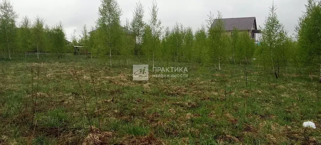 Продается участок в д. Костомарово - Фото 2